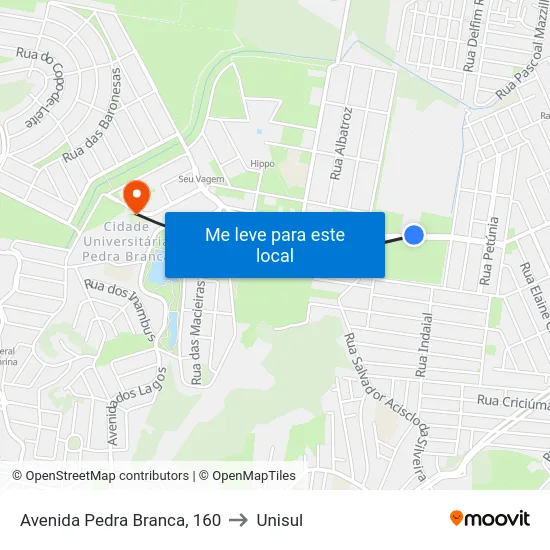 Avenida Pedra Branca, 160 to Unisul map
