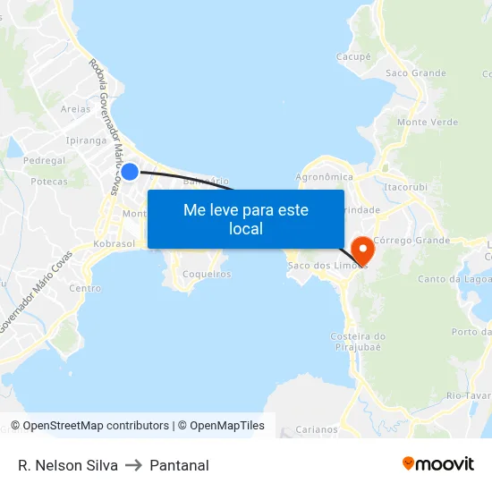 R. Nelson Silva to Pantanal map