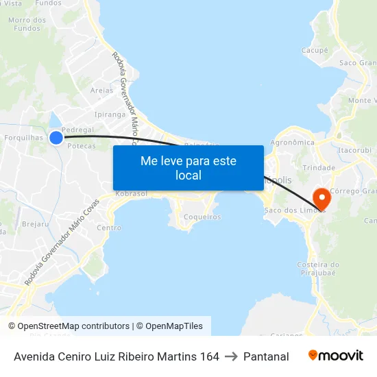 Avenida Ceniro Luiz Ribeiro Martins 164 to Pantanal map