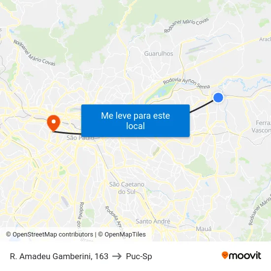 R. Amadeu Gamberini, 163 to Puc-Sp map