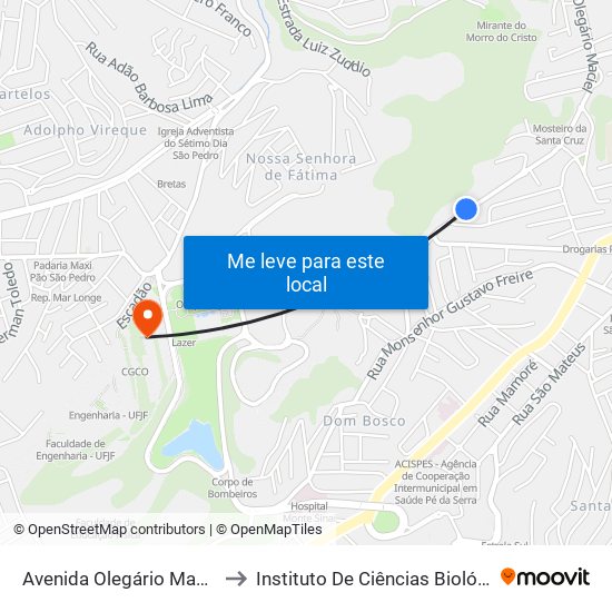Avenida Olegário Maciel, 1974 to Instituto De Ciências Biológicas - Icb map