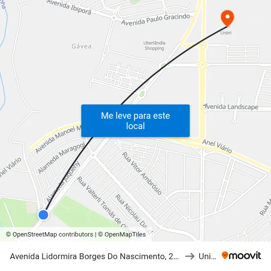 Avenida Lidormira Borges Do Nascimento, 2005 to Unitri map