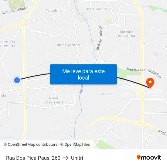 Rua Dos Pica-Paus, 260 to Unitri map