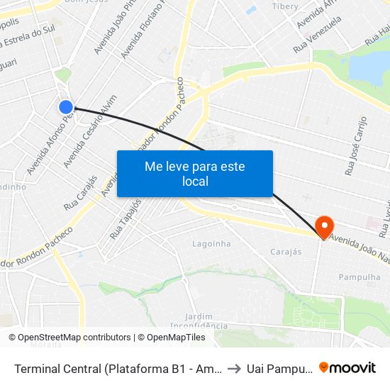 Terminal Central (Plataforma B1 - Amarelo) to Uai Pampulha map