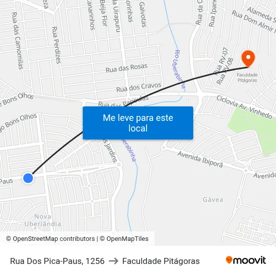 Rua Dos Pica-Paus, 1256 to Faculdade Pitágoras map
