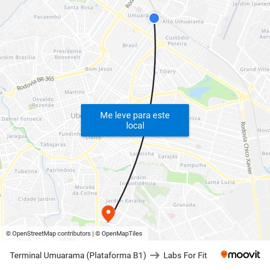 Terminal Umuarama (Plataforma B1) to Labs For Fit map