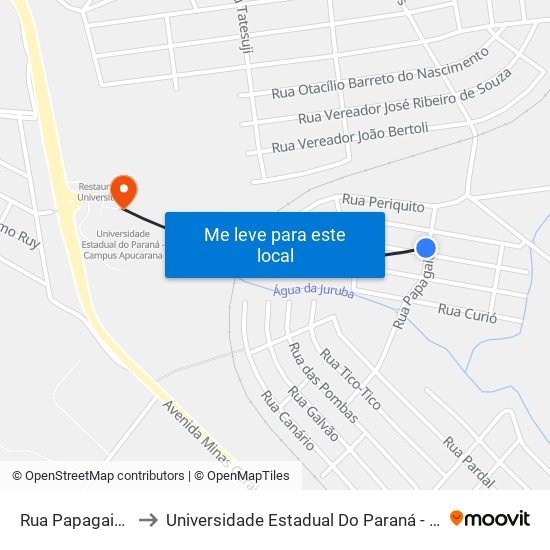 Rua Papagaio, 59-107 to Universidade Estadual Do Paraná - Campus Apucarana map
