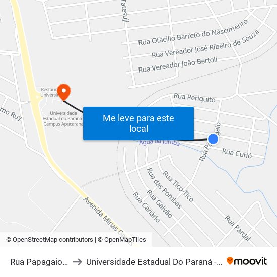 Rua Papagaio, 164-220 to Universidade Estadual Do Paraná - Campus Apucarana map