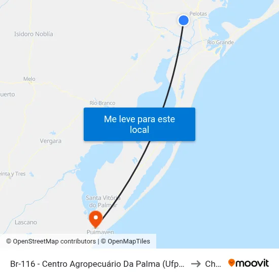 Br-116 - Centro Agropecuário Da Palma (Ufpel) to Chuy map