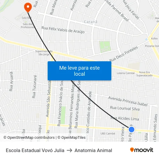 Escola Estadual Vovó Julia to Anatomia Animal map