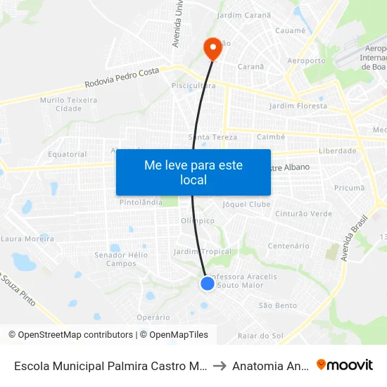 Escola Municipal Palmira Castro Machado to Anatomia Animal map