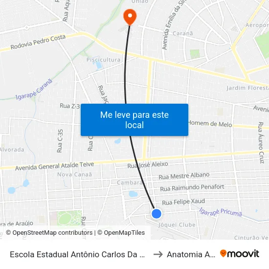 Escola Estadual Antônio Carlos Da Silva Natalino to Anatomia Animal map
