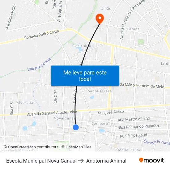 Escola Municipal Nova Canaã to Anatomia Animal map