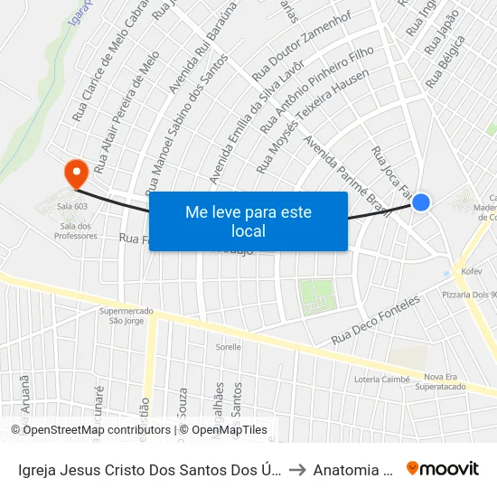 Igreja Jesus Cristo Dos Santos Dos Últimos Dias C/B to Anatomia Animal map