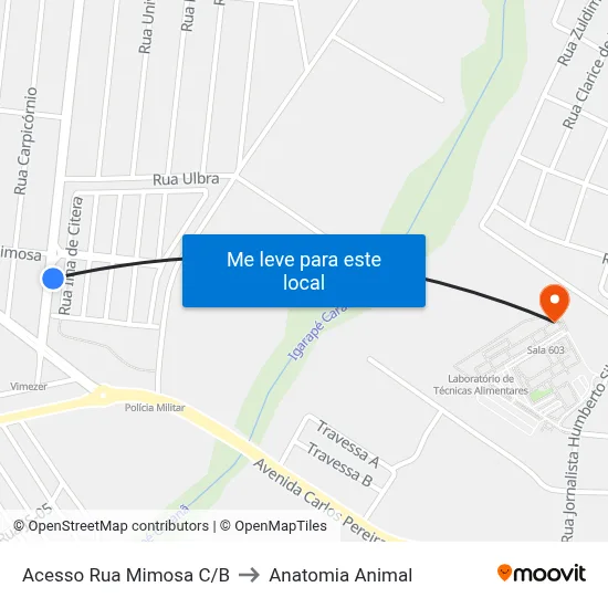 Acesso Rua Mimosa C/B to Anatomia Animal map