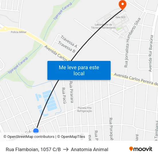 Rua Flamboian, 1057 C/B to Anatomia Animal map