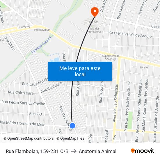 Rua Flamboian, 159-231 C/B to Anatomia Animal map