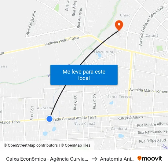 Caixa Econômica - Agência Curviana C/B to Anatomia Animal map
