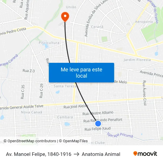 Av. Manoel Felipe, 1840-1916 to Anatomia Animal map