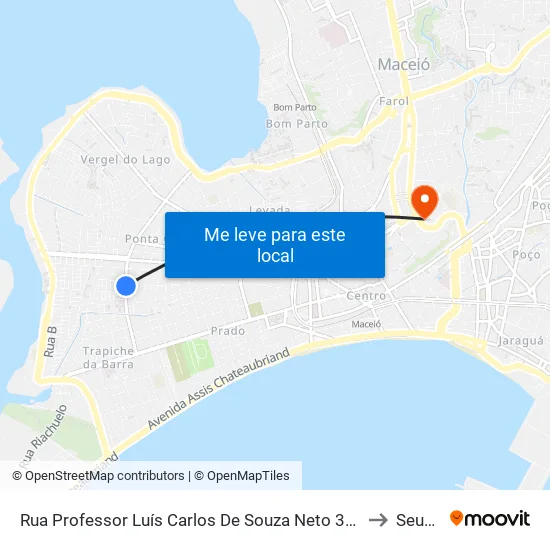 Rua Professor Luís Carlos De Souza Neto 374 to Seune map