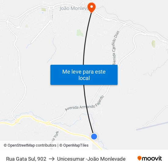 Rua Gata Sul, 902 to Unicesumar -João Monlevade map