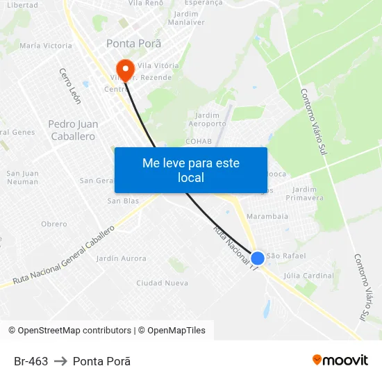 Br-463 to Ponta Porã map