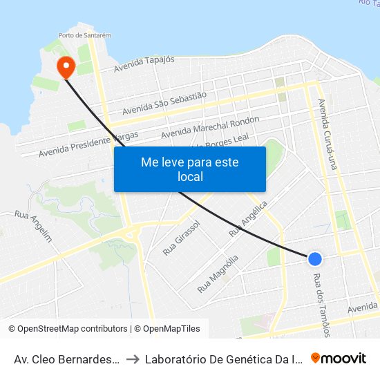 Av. Cleo Bernardes, 1852 to Laboratório De Genética Da Interação map