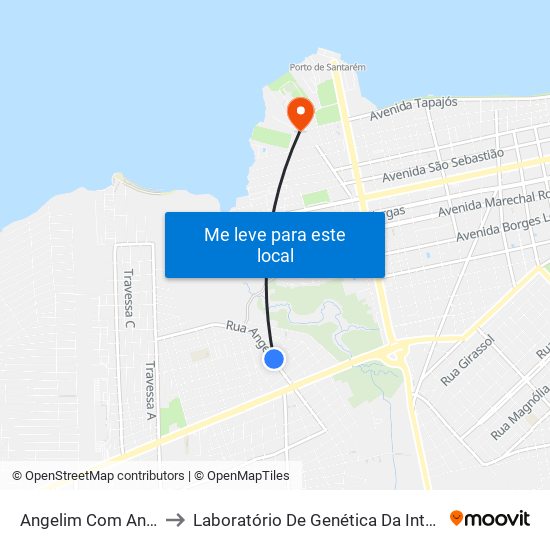 Angelim Com Ananin to Laboratório De Genética Da Interação map