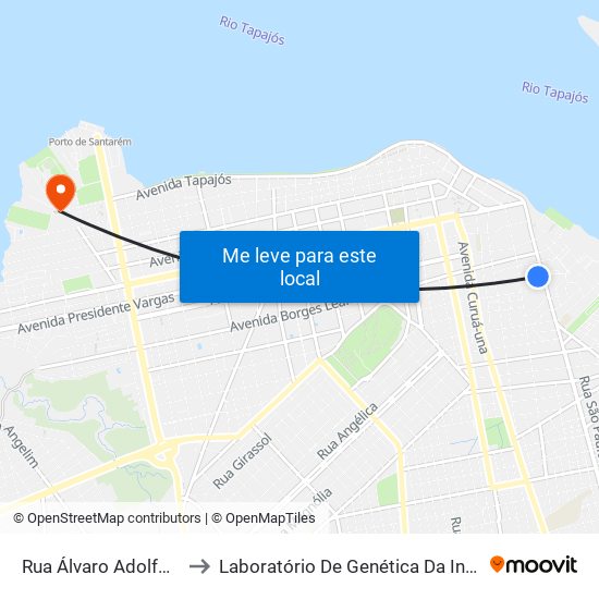 Rua Álvaro Adolfo, 944 to Laboratório De Genética Da Interação map