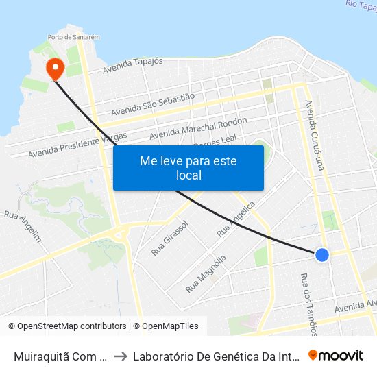 Muiraquitã Com Ns 4 to Laboratório De Genética Da Interação map