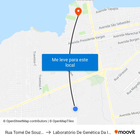 Rua Tomé De Souza, 955 to Laboratório De Genética Da Interação map