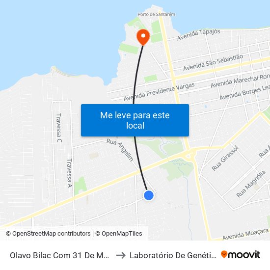 Olavo Bilac Com 31 De Maio | Sentido Oeste to Laboratório De Genética Da Interação map