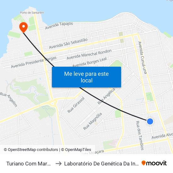 Turiano Com Marajoara to Laboratório De Genética Da Interação map