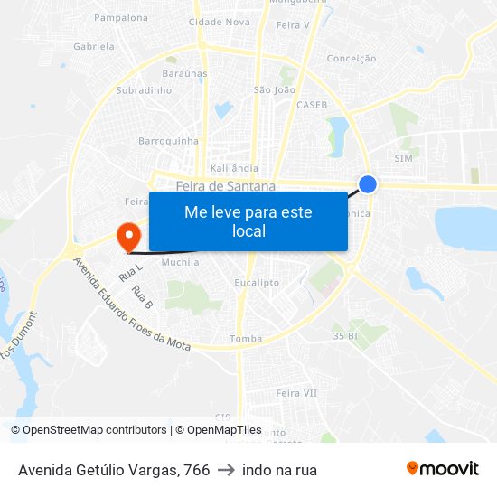 Avenida Getúlio Vargas, 766 to indo na rua map