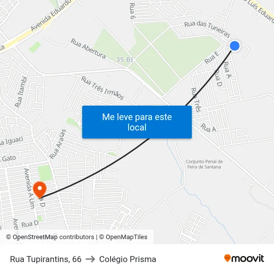 Rua Tupirantins, 66 to Colégio Prisma map