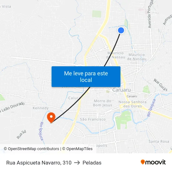 Rua Aspicueta Navarro, 310 to Peladas map