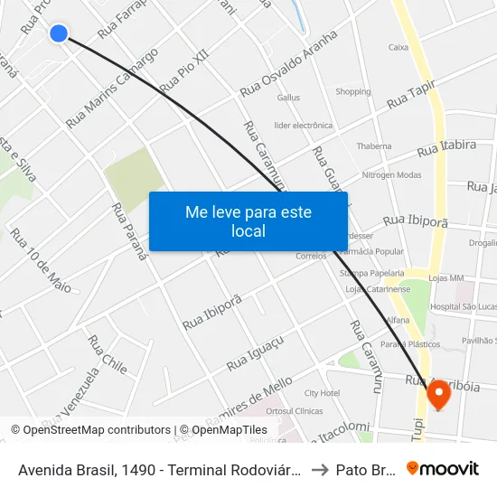 Avenida Brasil, 1490 - Terminal Rodoviário José Cattani to Pato Branco map