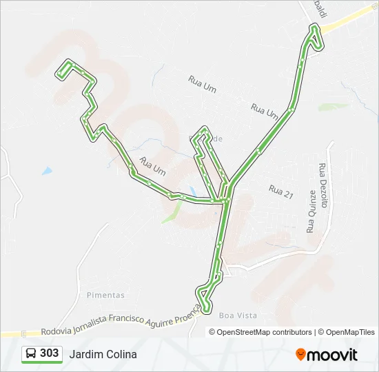 303 Bus Line Map