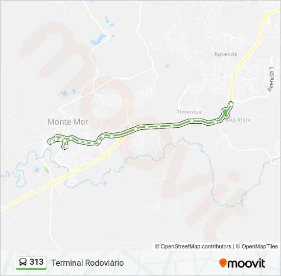 313 Bus Line Map