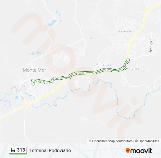 313 Bus Line Map