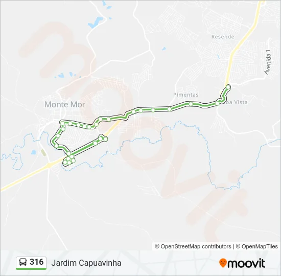 316 Bus Line Map