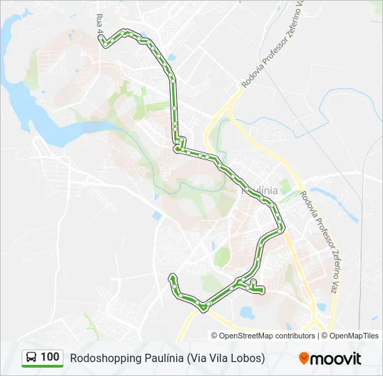 100 Bus Line Map