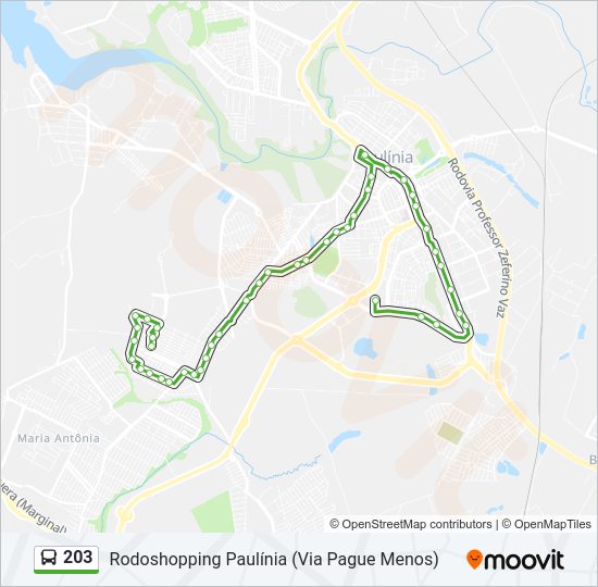 Mapa da linha 203 de ônibus