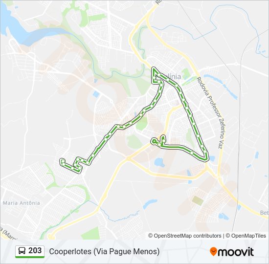 Mapa da linha 203 de ônibus