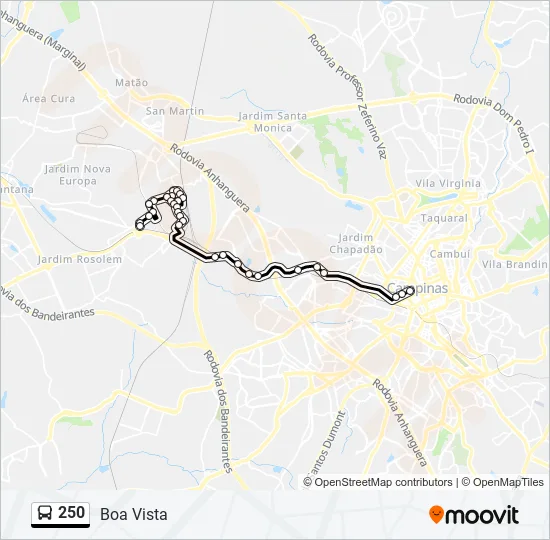 250 Bus Line Map