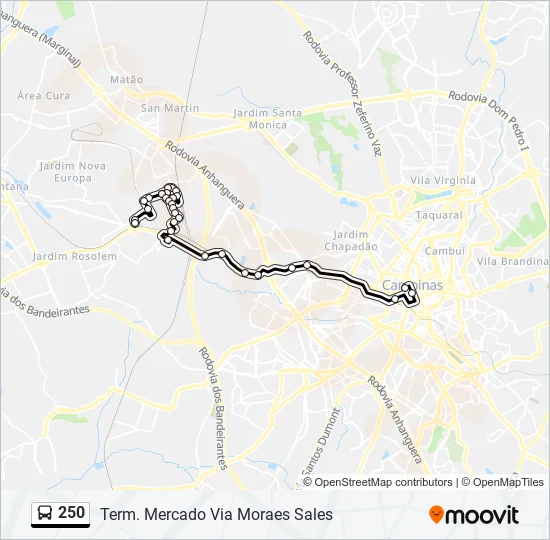 250 Bus Line Map