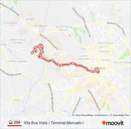 250 Bus Line Map