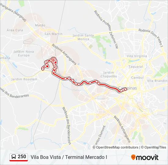 250 Bus Line Map