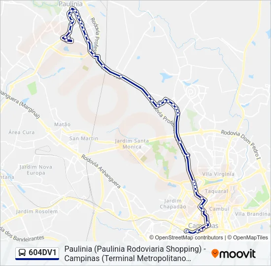 604DV1 Bus Line Map