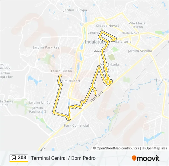 303 Bus Line Map